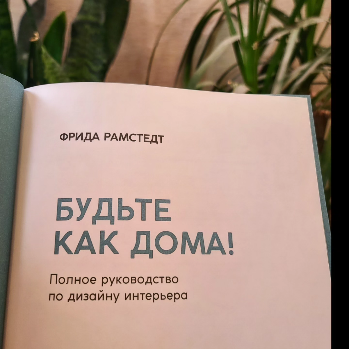 Что почитать ✨️ | Сетка — социальная сеть от hh.ru