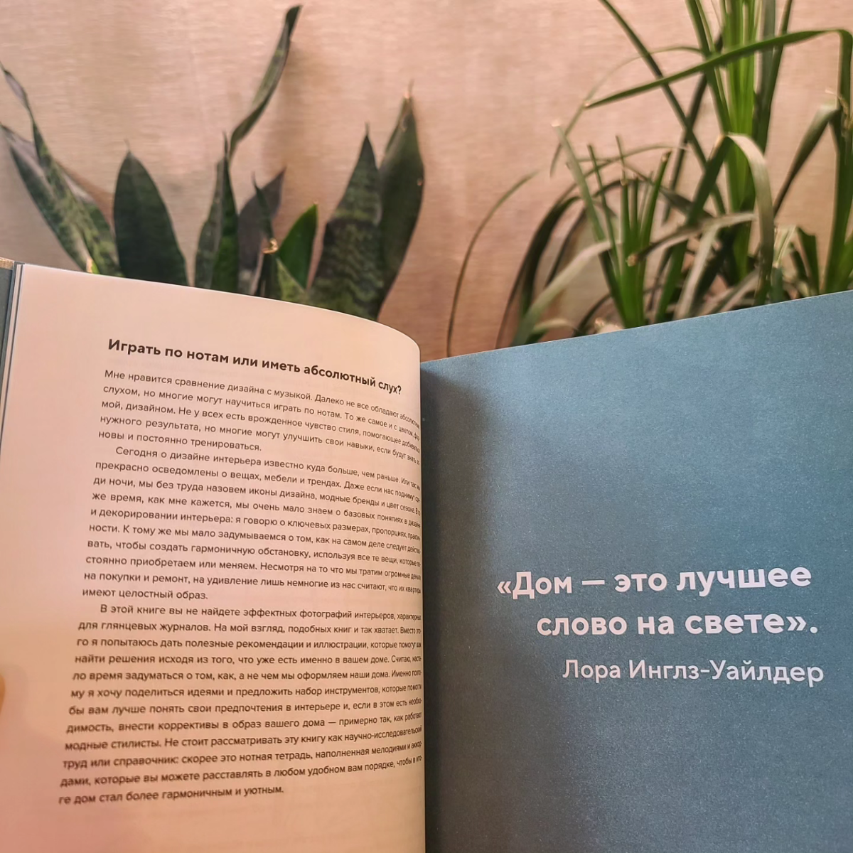 Что почитать ✨️ | Сетка — социальная сеть от hh.ru