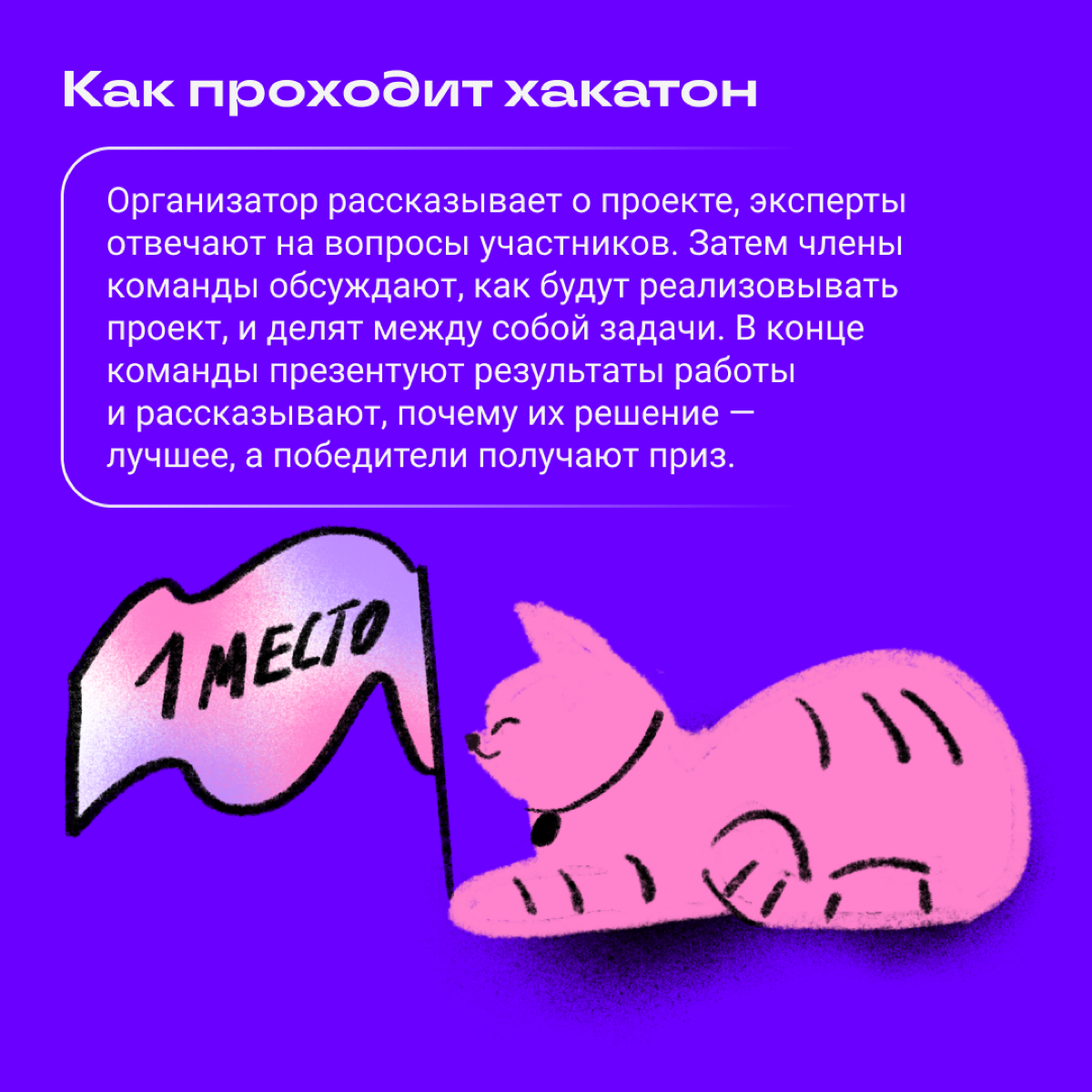 Если круг общения на удаленке резко ограничился котами, пора срочно выходить в люди. А заодно прокачать навыки и познакомиться с крутыми ребятами из мира диджитала. | Сетка — социальная сеть от hh.ru