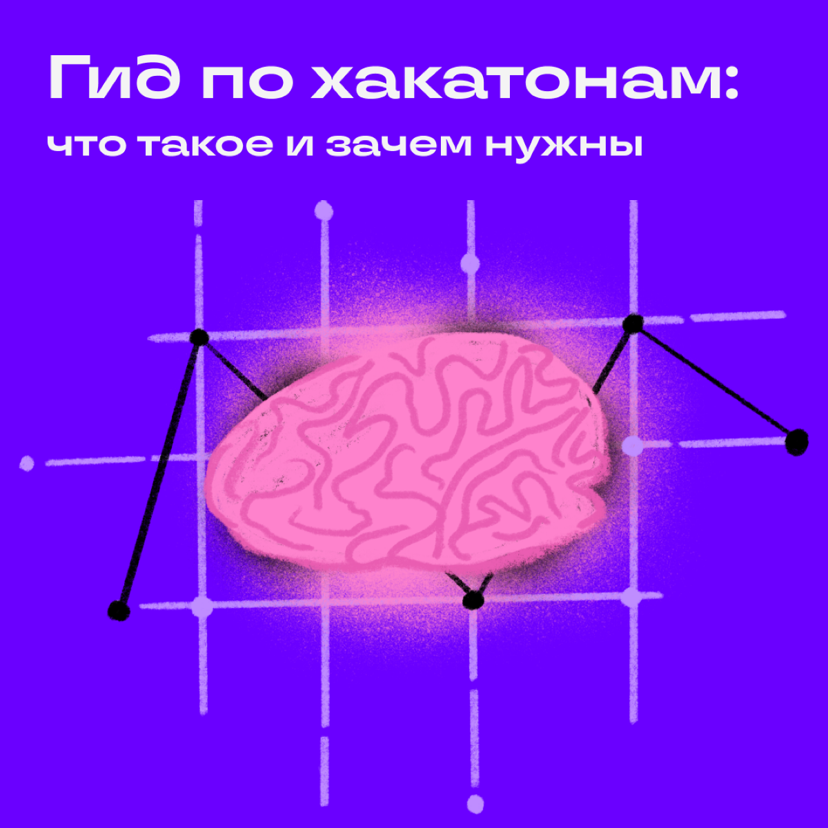 Если круг общения на удаленке резко ограничился котами, пора срочно выходить в люди. А заодно прокачать навыки и познакомиться с крутыми ребятами из мира диджитала. | Сетка — социальная сеть от hh.ru