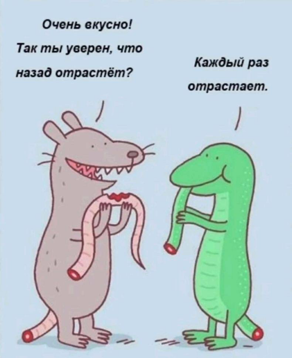 Вспомните эту картинку, когда будете делать изменения в продукте только на основе чужого опыта с другого рынка 😉 | Сетка — социальная сеть от hh.ru