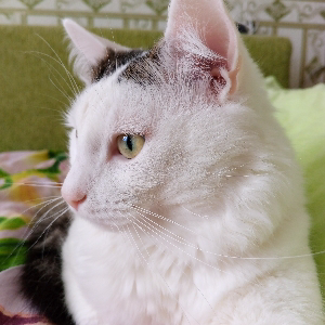 Юлия Тимофеева | Сетка — социальная сеть от hh.ru