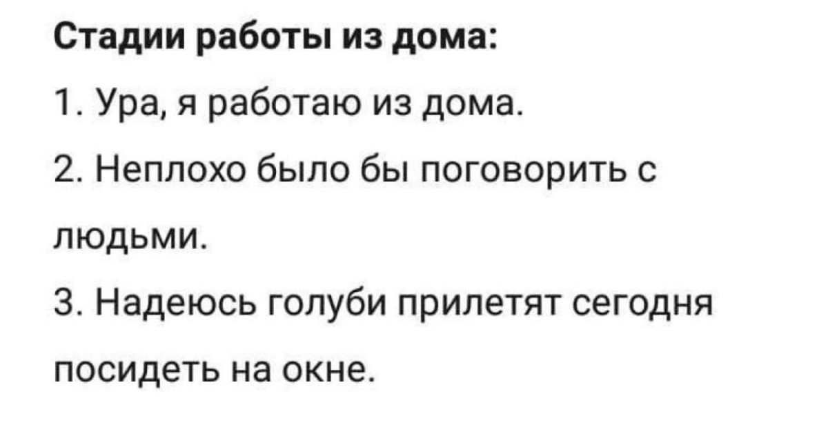 Сетка — социальная сеть от hh.ru