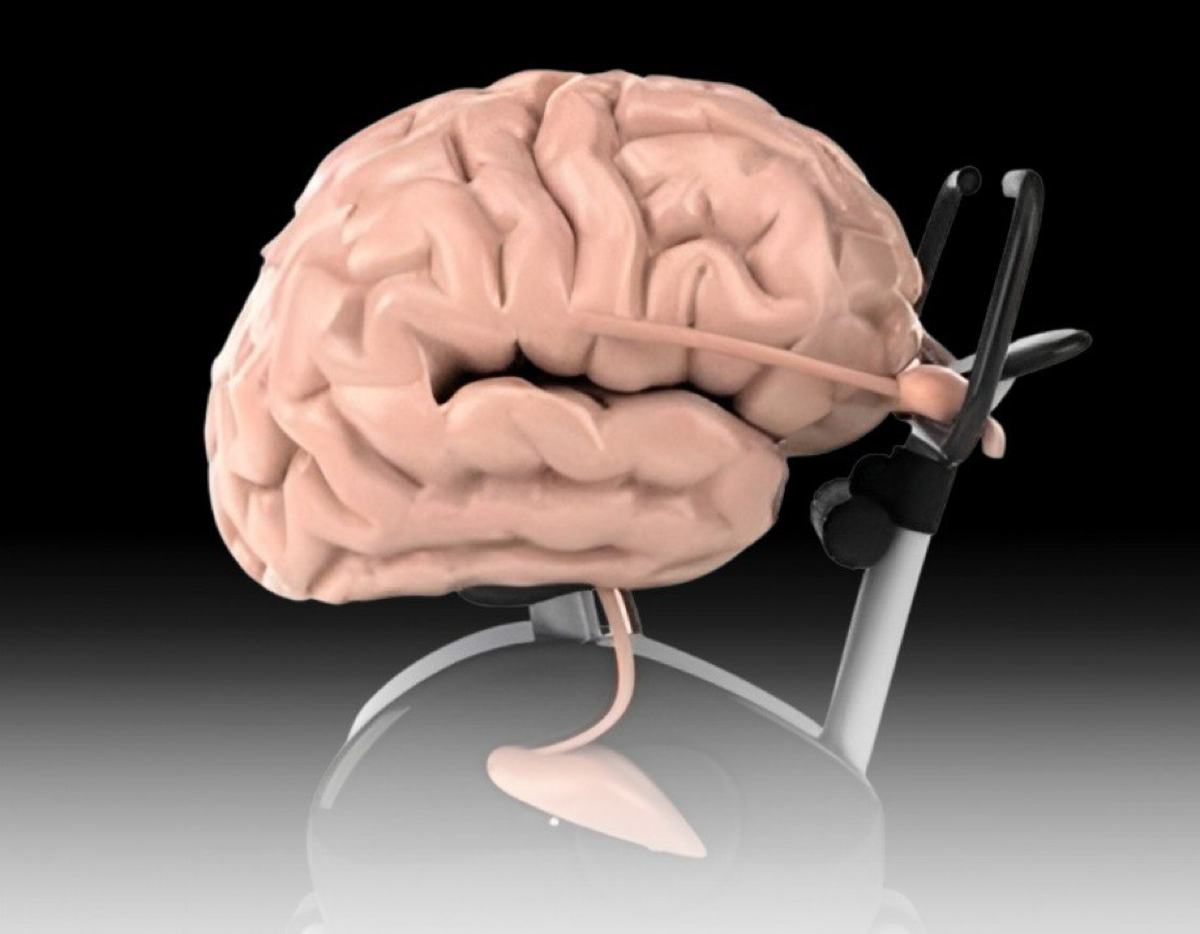 Что НЕ ДЕЛАЮТ психологически устойчивые люди?
Наша жизнь коротка.
Еще вчера ты отрывался в клубах, а бац – тебе уже сорок, дом, двое детей.
Карьера, ответственность, счета, проблемы, экономика, климат | Сетка — социальная сеть от hh.ru