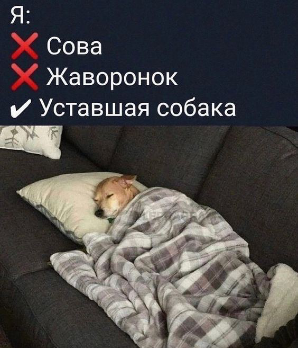 А вы? | Сетка — социальная сеть от hh.ru