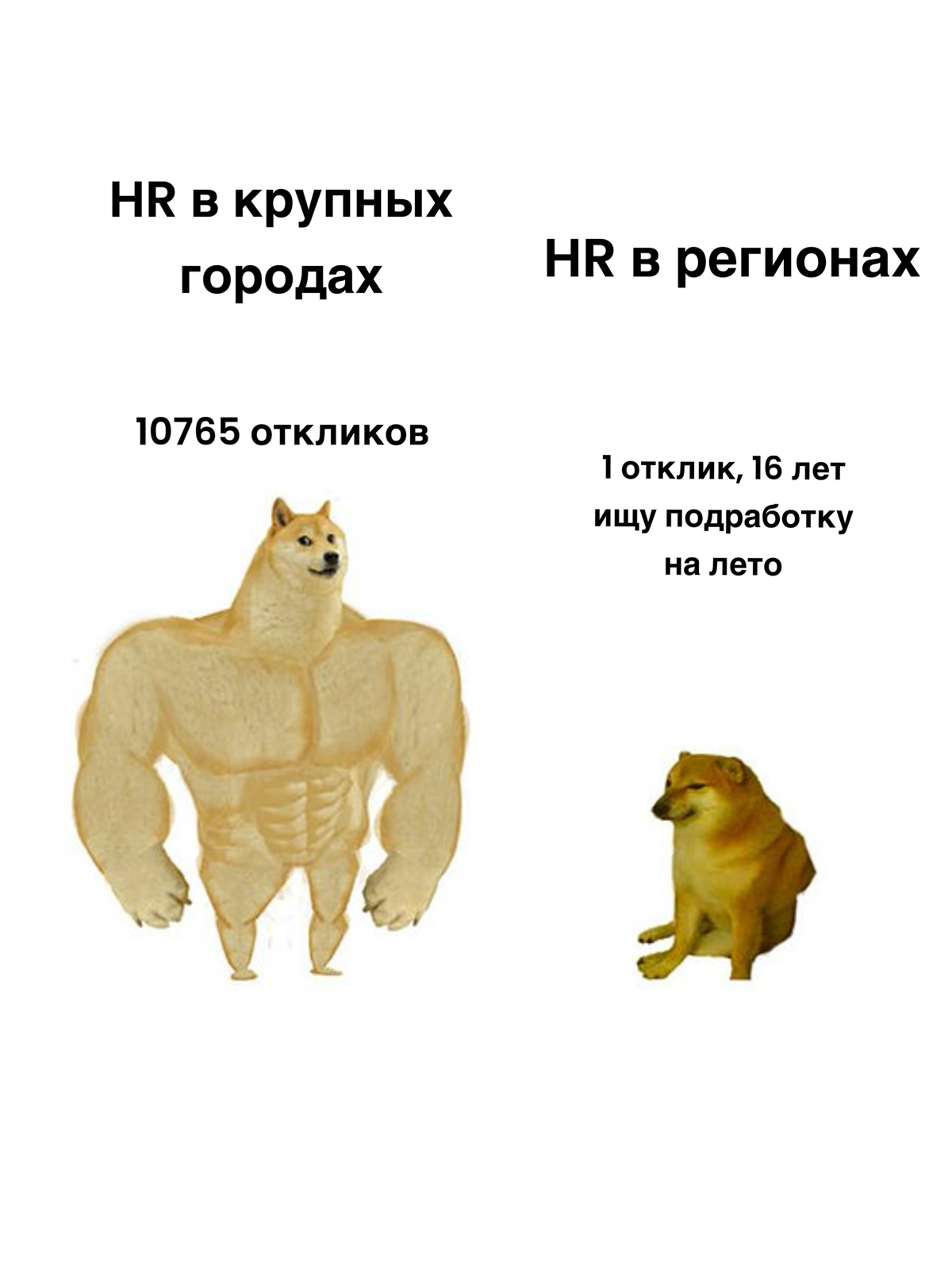 Сетка — социальная сеть от hh.ru