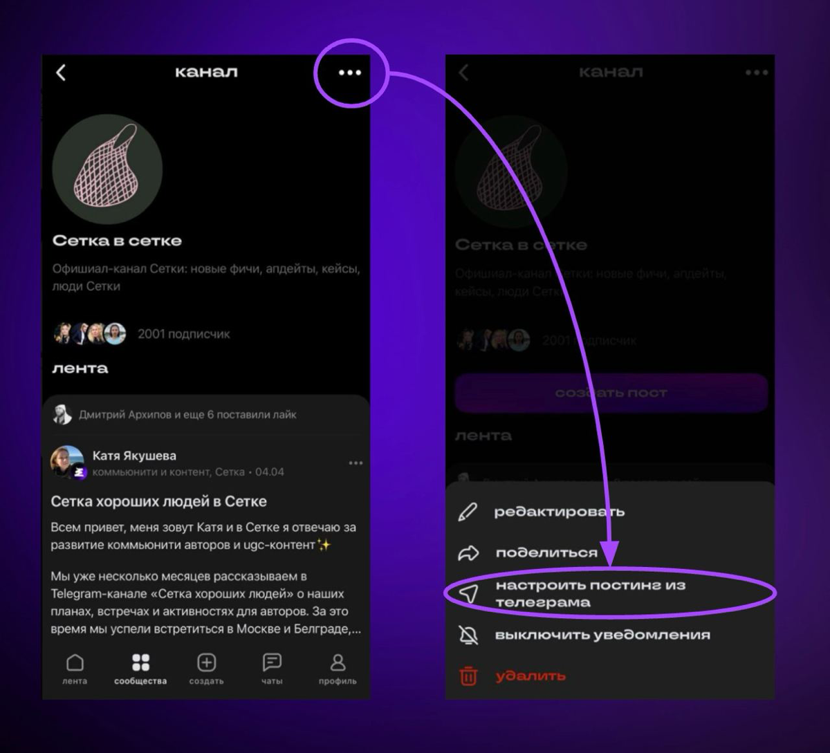Постинг из телеграма в Сетку? Чиназес! Сюда! | Сетка — социальная сеть от hh.ru