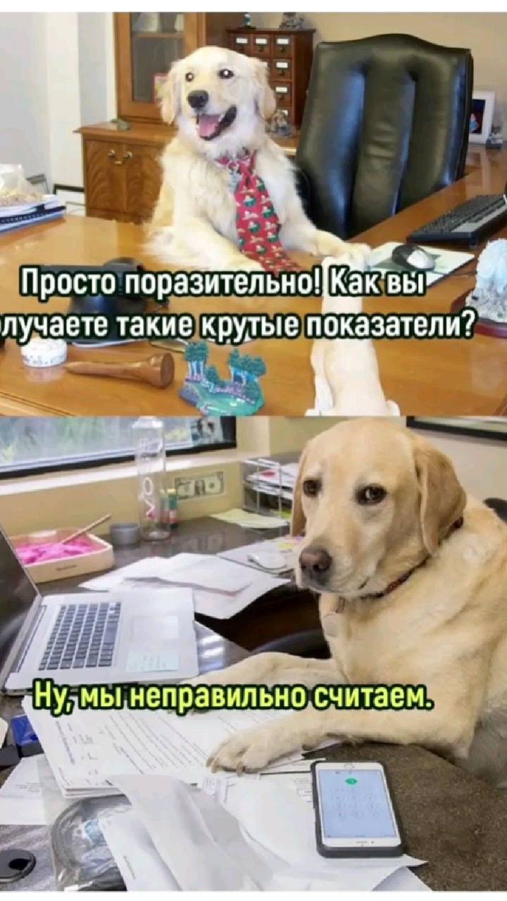 Может так и надо делать и проще будет на работе? | Сетка — социальная сеть от hh.ru
