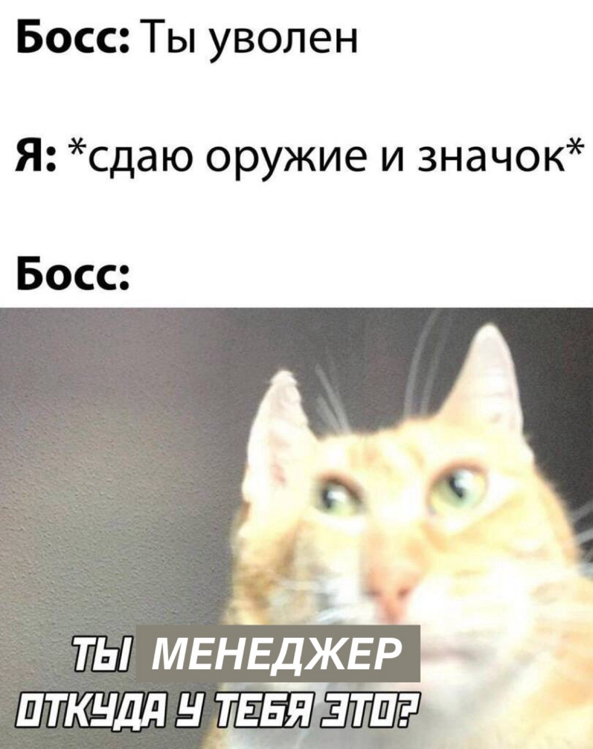 Мем 17 | Сетка — социальная сеть от hh.ru