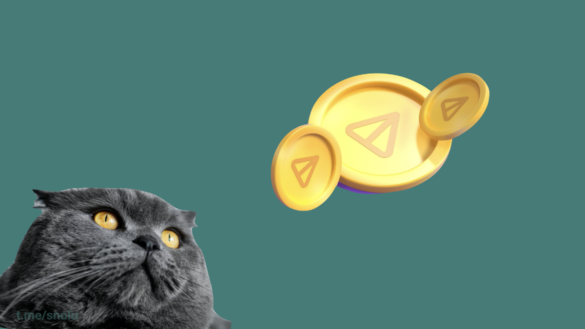 НОТКОИН, мать его етить  😠 | Сетка — социальная сеть от hh.ru