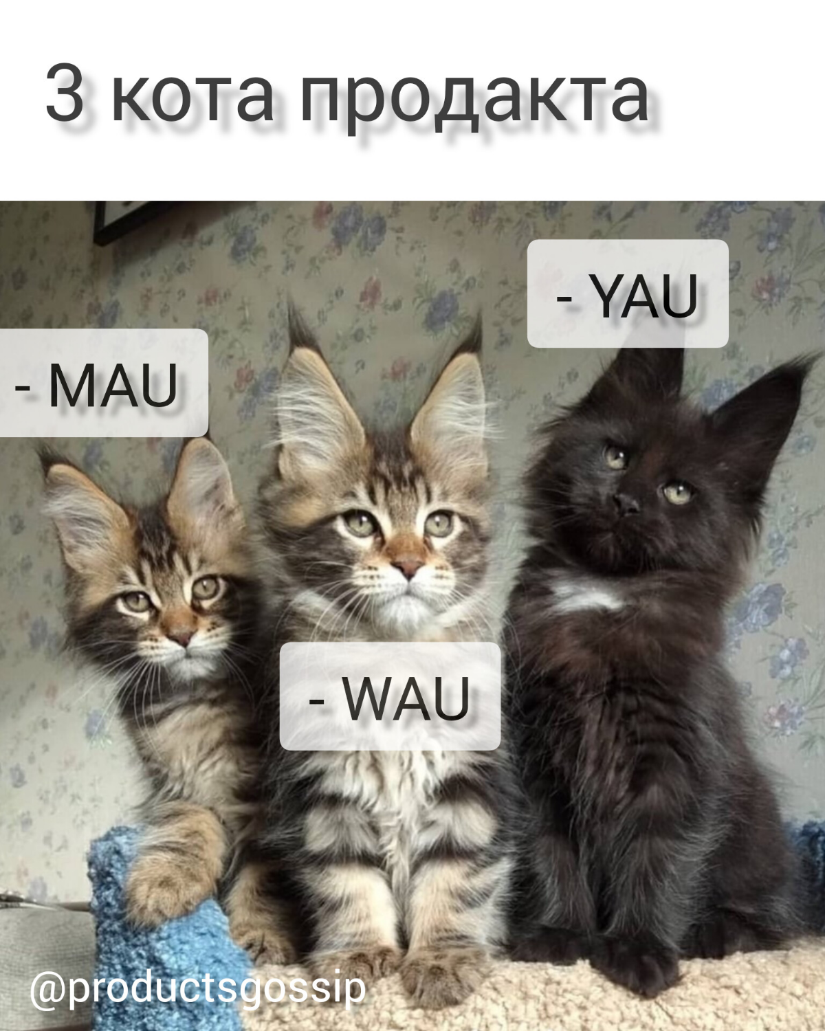 Котячее  настроениее ))
https://t.me/productsgossip | Сетка — социальная сеть от hh.ru