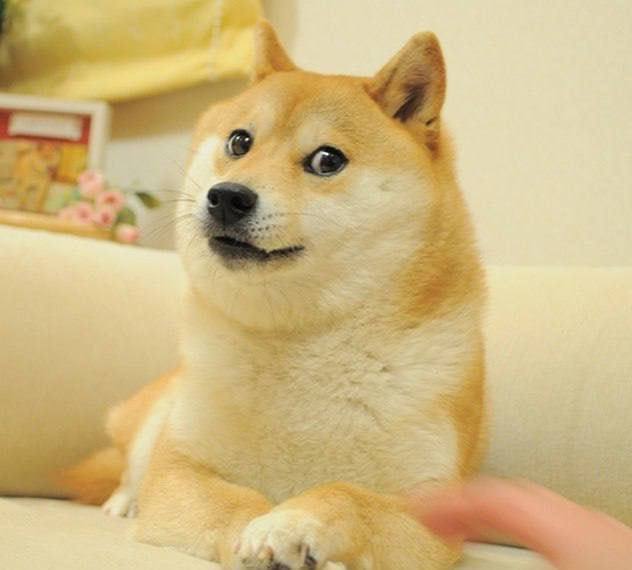 Знаю по себе, что смерть питомца всегда больно ударяет по опекуну и всегда испытываю боль от таких событий | Сетка — социальная сеть от hh.ru