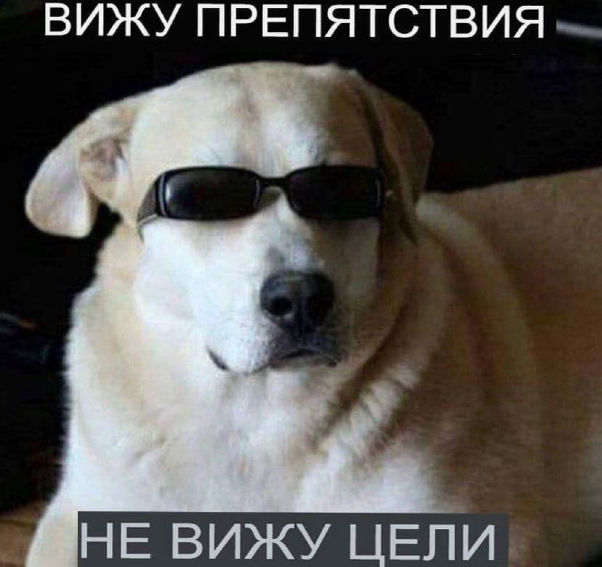 Мем 18 | Сетка — социальная сеть от hh.ru