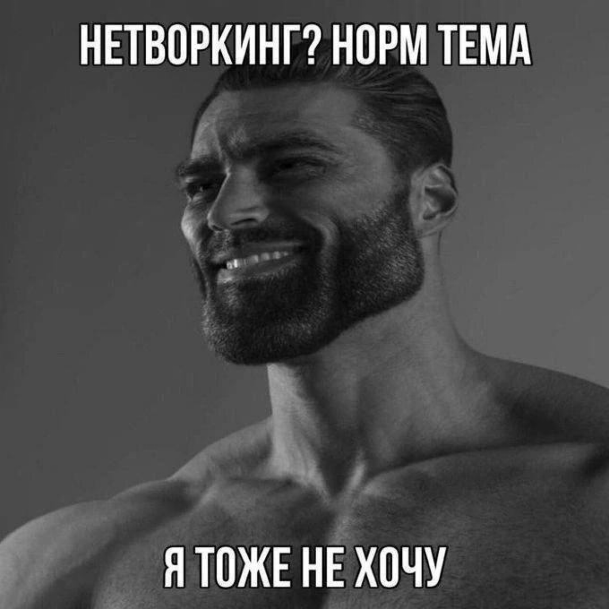 Сетка — социальная сеть от hh.ru