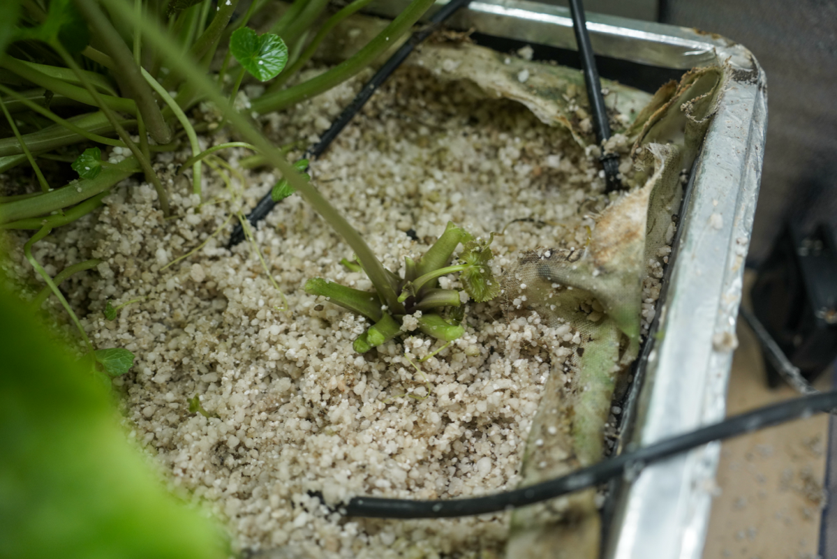 Дорогу нормальным ребятам! | Сетка — социальная сеть от hh.ru