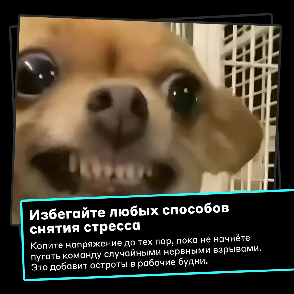 Верный способ ощутить всю прелесть нервного срыва 😐 | Сетка — социальная сеть от hh.ru