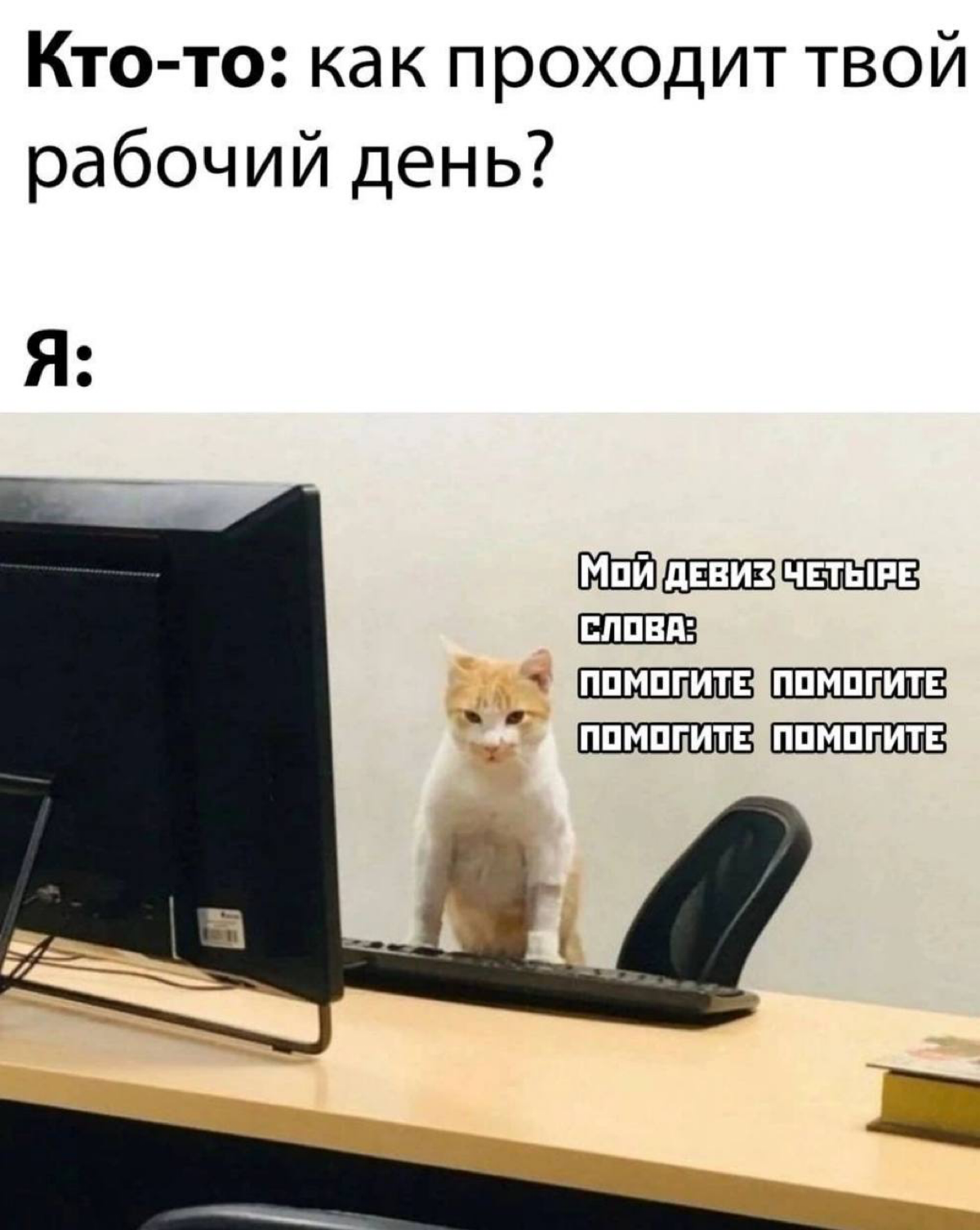 Сетка — социальная сеть от hh.ru