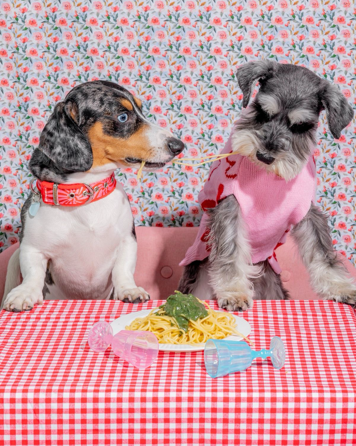 В предыдущем посте я рассказывала, чем отличается Продакт-менеджер от Проджект-менеджера | Сетка — социальная сеть от hh.ru