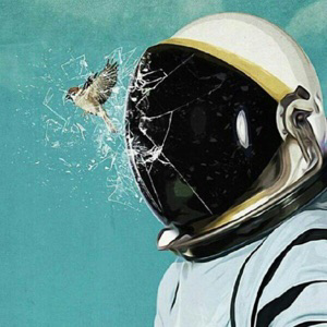 Марк Полушкин | Сетка — социальная сеть от hh.ru