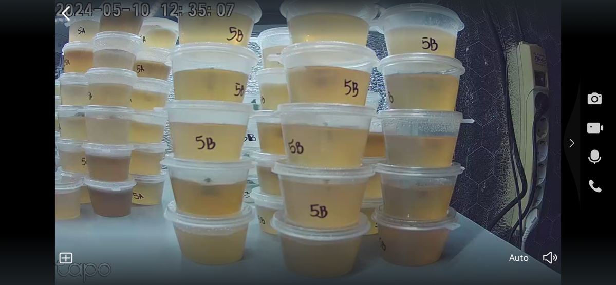 Микроклонирование. Итог эксперимента #5 | Сетка — социальная сеть от hh.ru