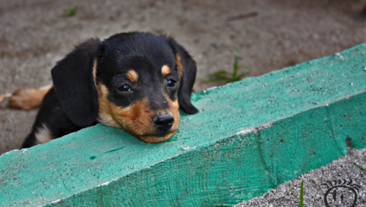 Хороший лидер — скучный лидер | Сетка — социальная сеть от hh.ru