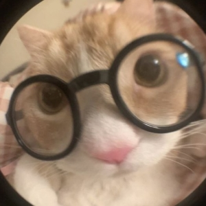 Роман Воронков | Сетка — социальная сеть от hh.ru