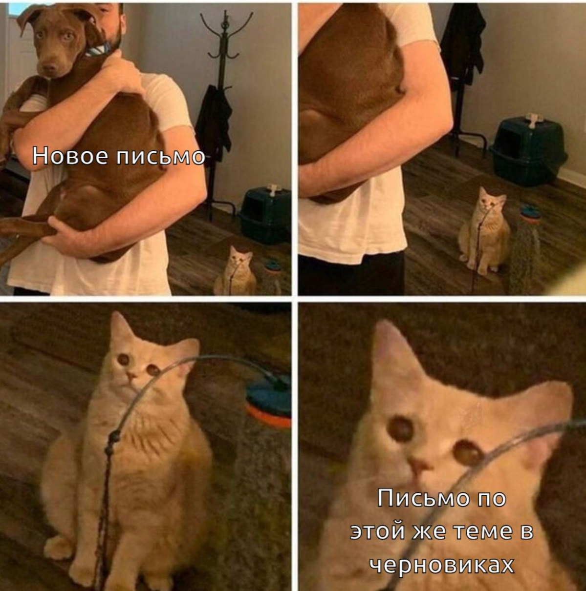 Ай | Сетка — социальная сеть от hh.ru