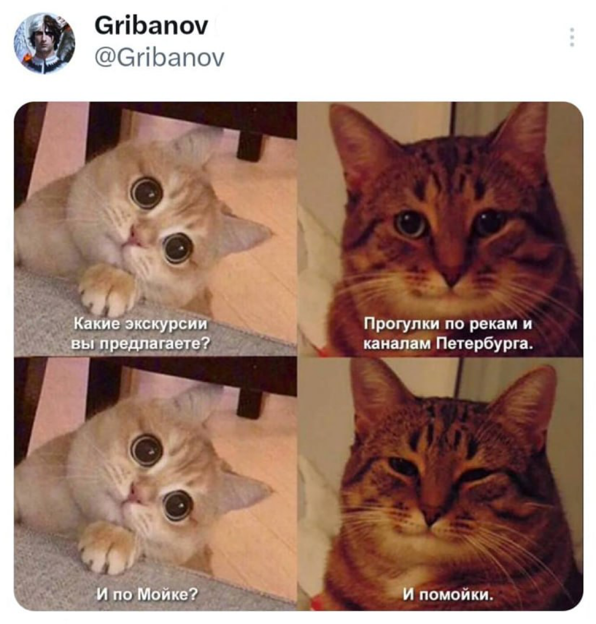 Сетка — социальная сеть от hh.ru