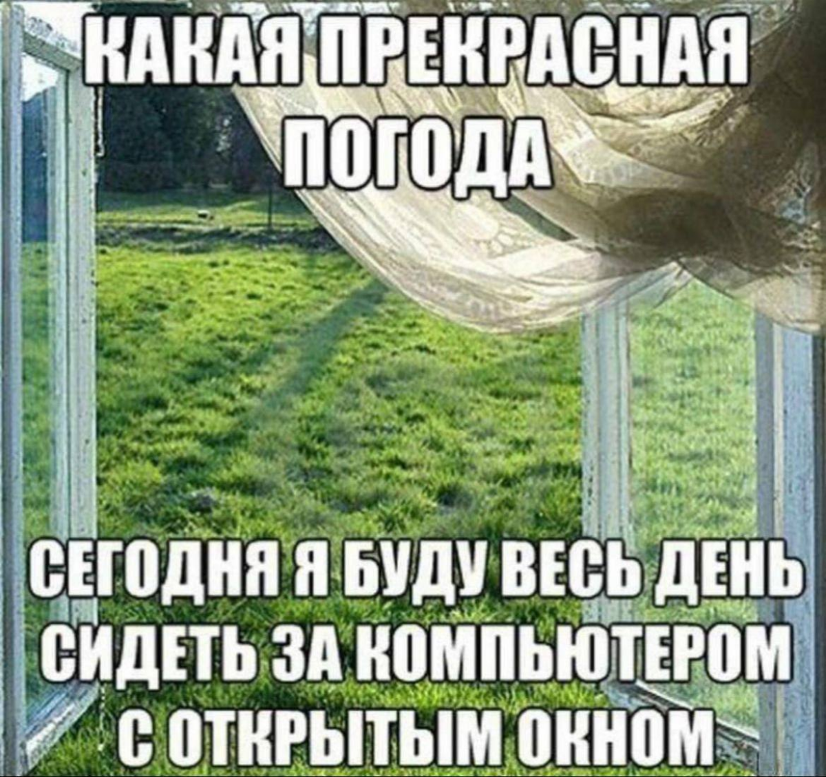 Желаю, чтоб ваши выходные были иные | Сетка — социальная сеть от hh.ru