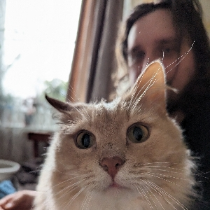 Александр Вяльцев