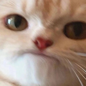 Тимофей Редько