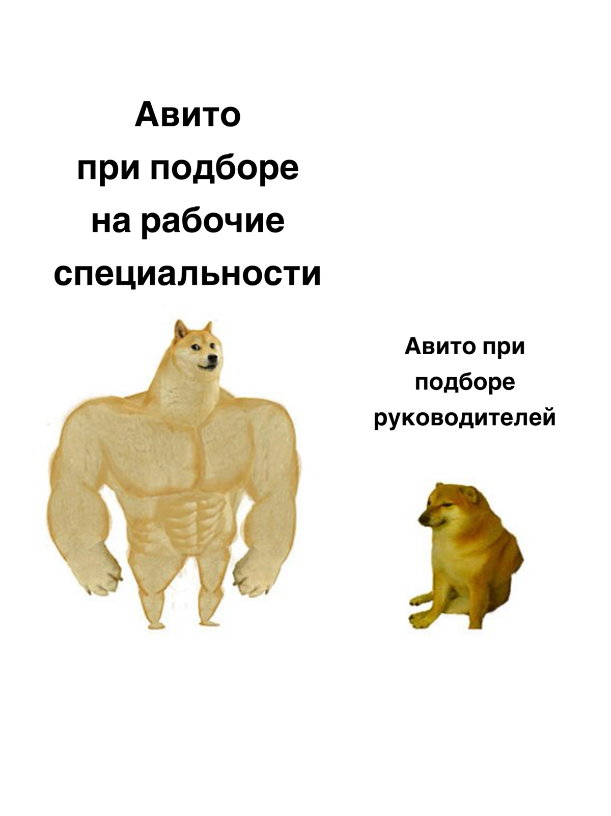 Сетка — социальная сеть от hh.ru