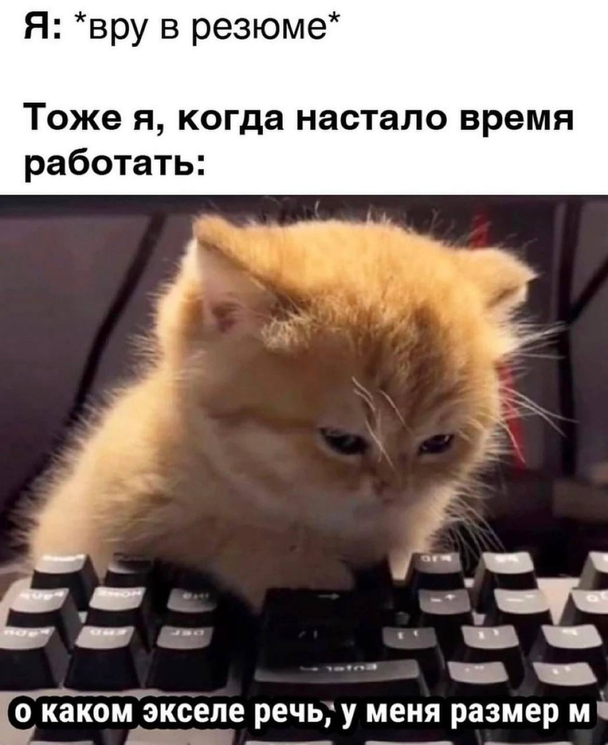 /Самая частая проблема резюме/ | Сетка — социальная сеть от hh.ru