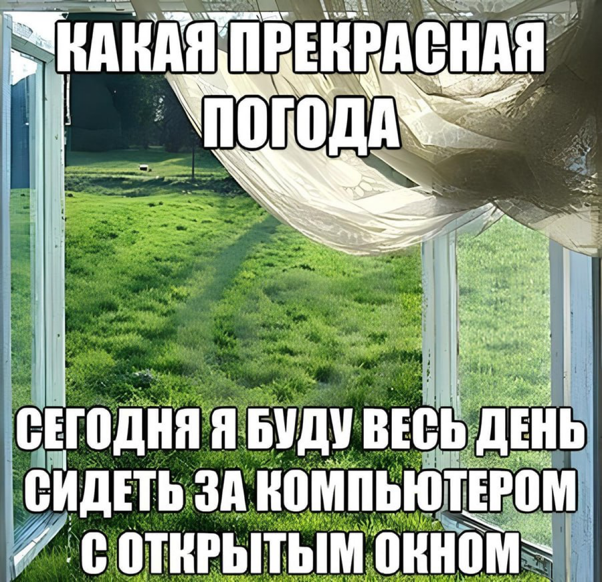 Пусть первым постом будет украденный жизненный мемчик | Сетка — социальная сеть от hh.ru