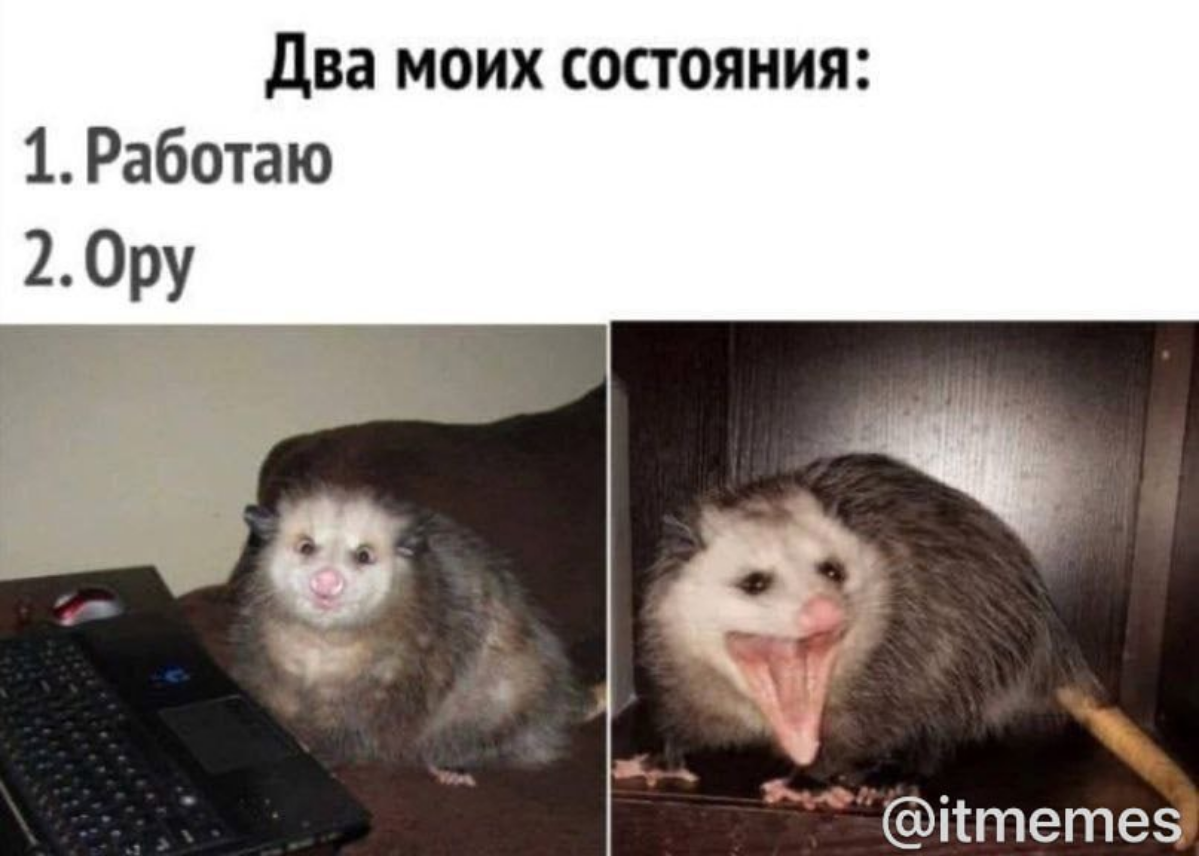 с мемов | Сетка — социальная сеть от hh.ru
