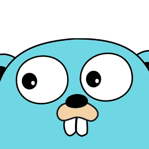 Golang