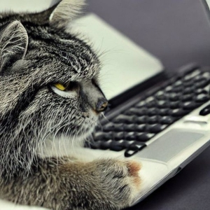 Павел Попов | Сетка — социальная сеть от hh.ru