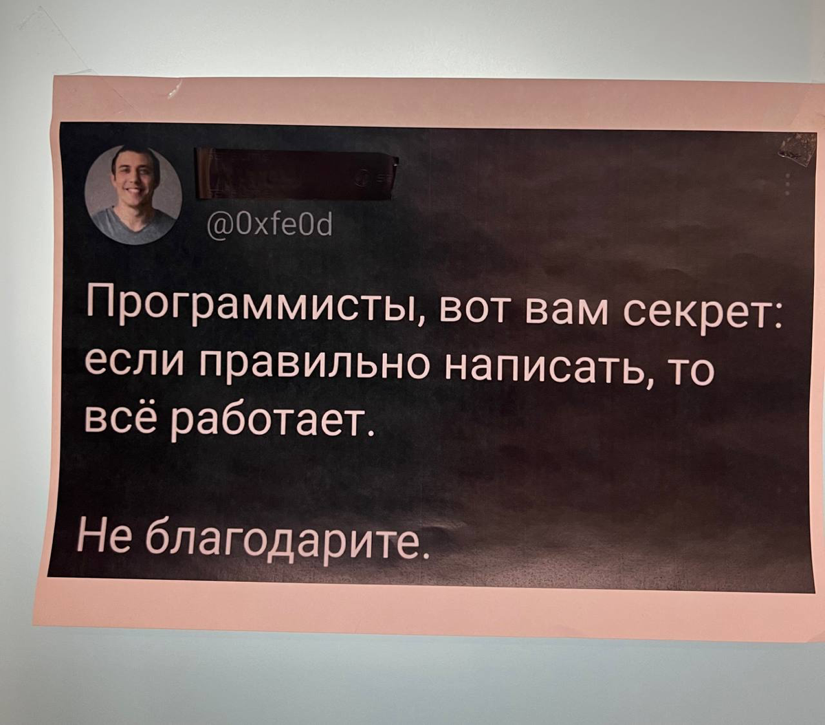 Мои беседы с разрабами би лайк🙂 | Сетка — социальная сеть от hh.ru