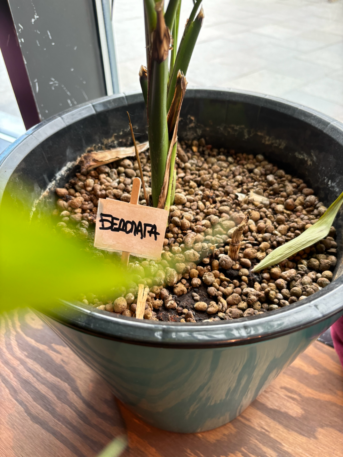 Hello, world. | Сетка — социальная сеть от hh.ru