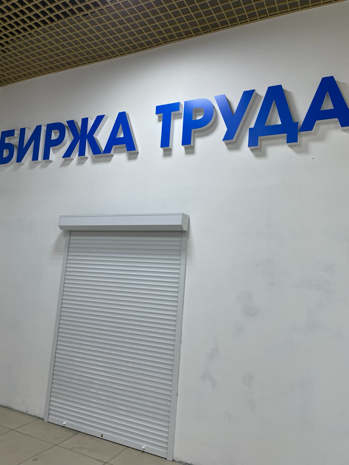 Куда пойдёт Сетка? | Сетка — социальная сеть от hh.ru