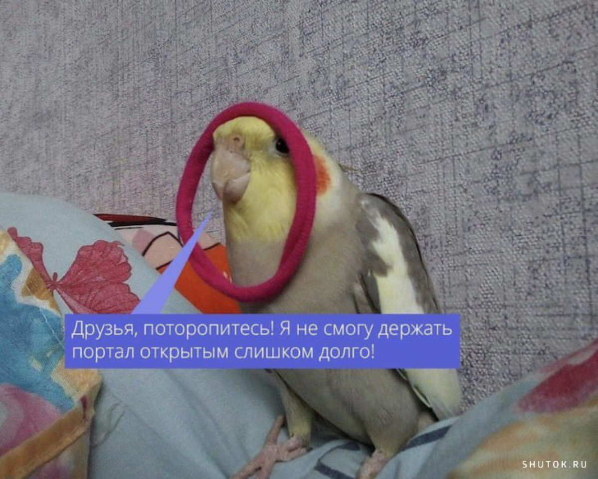 Когда стараешься не уйти с сотого мита подряд | Сетка — социальная сеть от hh.ru