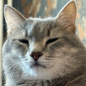 Павел Казаков | Сетка — социальная сеть от hh.ru