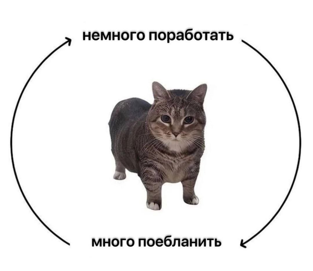 ☢️Хорошо работает тот, кто много ебланит | Сетка — социальная сеть от hh.ru