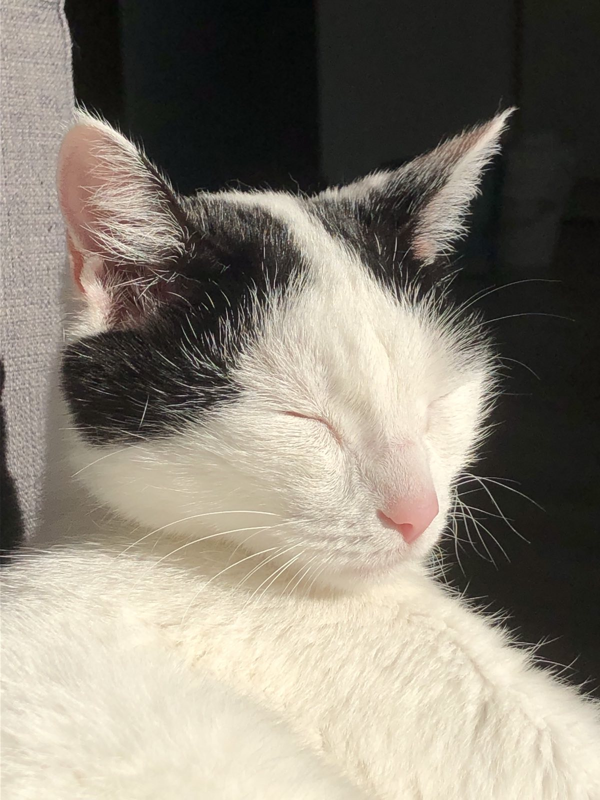 Котя | Сетка — социальная сеть от hh.ru