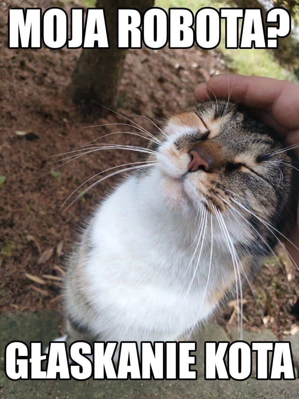 Сетка — социальная сеть от hh.ru