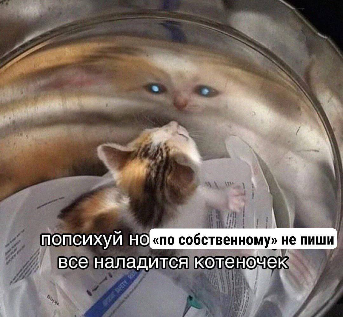 Friendly reminder 🌝 | Сетка — социальная сеть от hh.ru