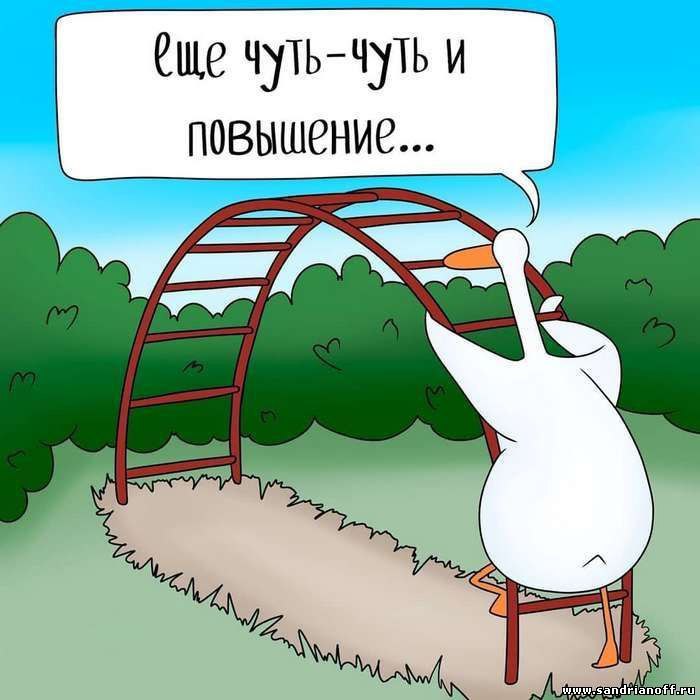 ✅ Как строить карьеру: часть 2 | Сетка — социальная сеть от hh.ru