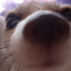 Георгий Измайлов