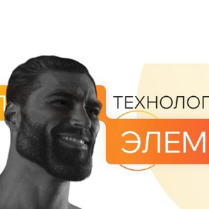 1С, Элемент и разные предприятия