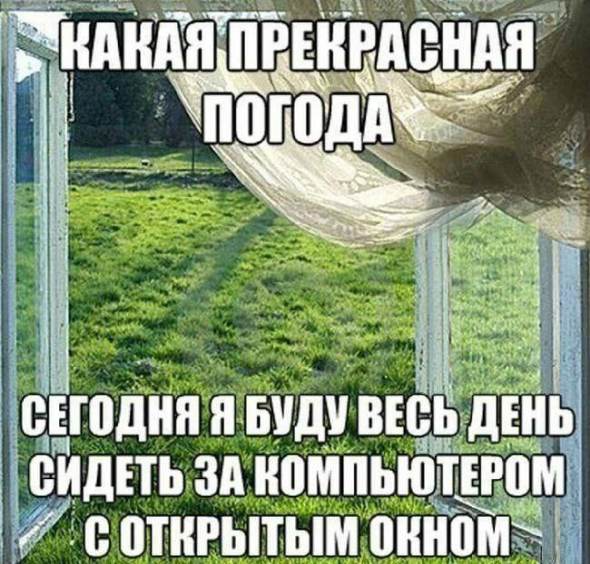 Господа айтишники, а точнее будующие нищуки, в связи с текущей экономической ситуацией в стране и последующими изменениями рекомендую вам завести карту пятёрочки, отказаться от боулов в пользу овсянки... | Сетка — социальная сеть от hh.ru